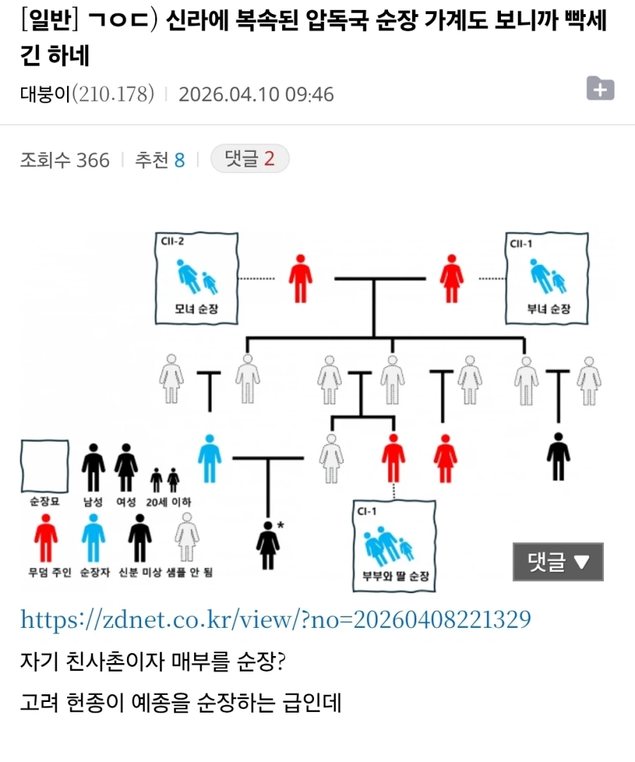 신라 순장 빡세다_1.webp