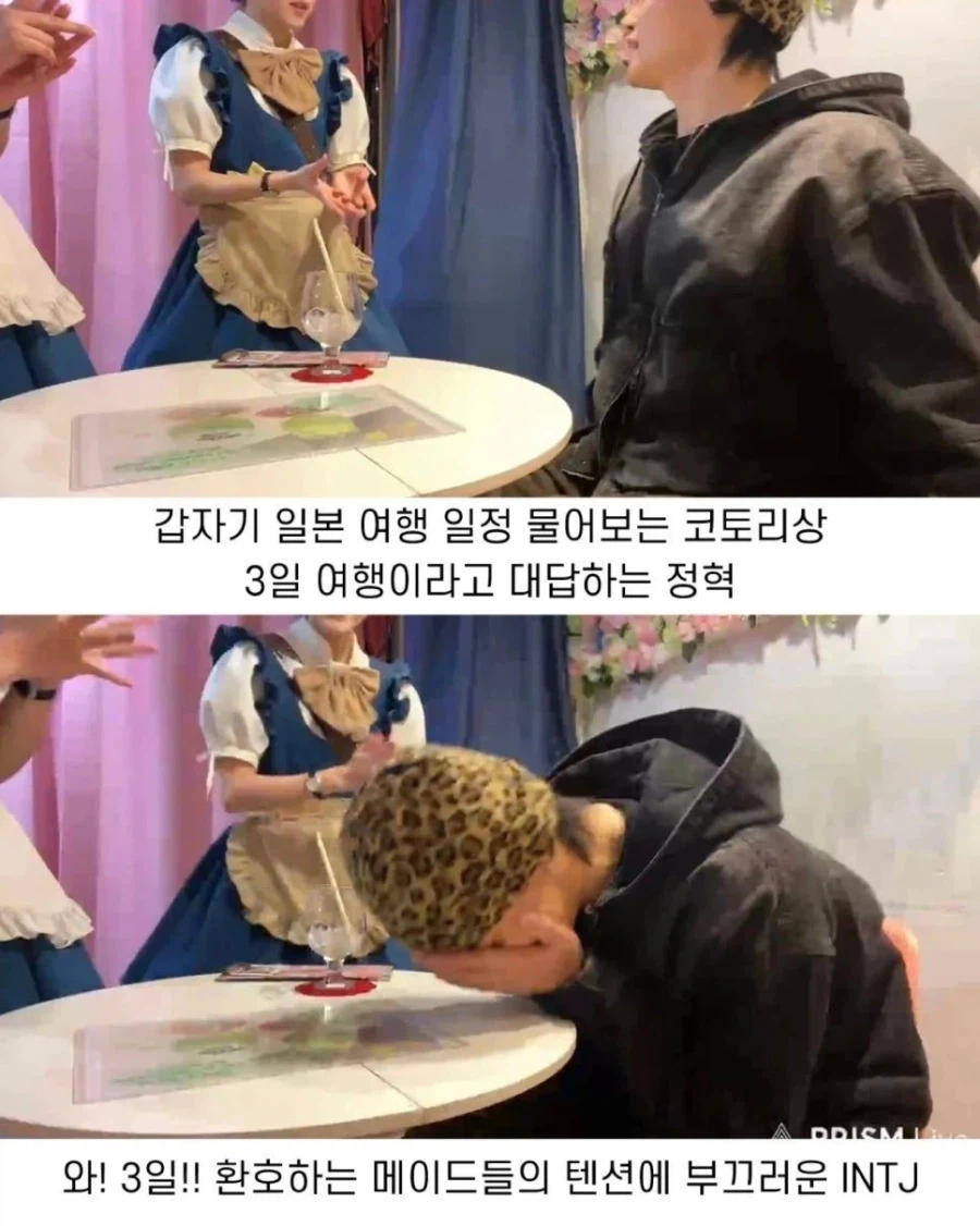 남자 모델이 일본 메이드카페 가면 생기는 일_6.webp