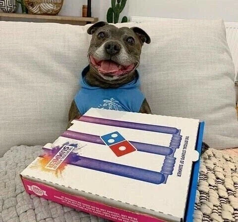 아가리 벌려.jpg_1.webp