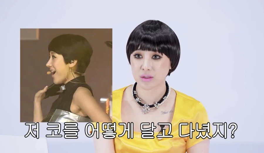 서인영 코(끝) 성형 5번 하기 전_12.webp