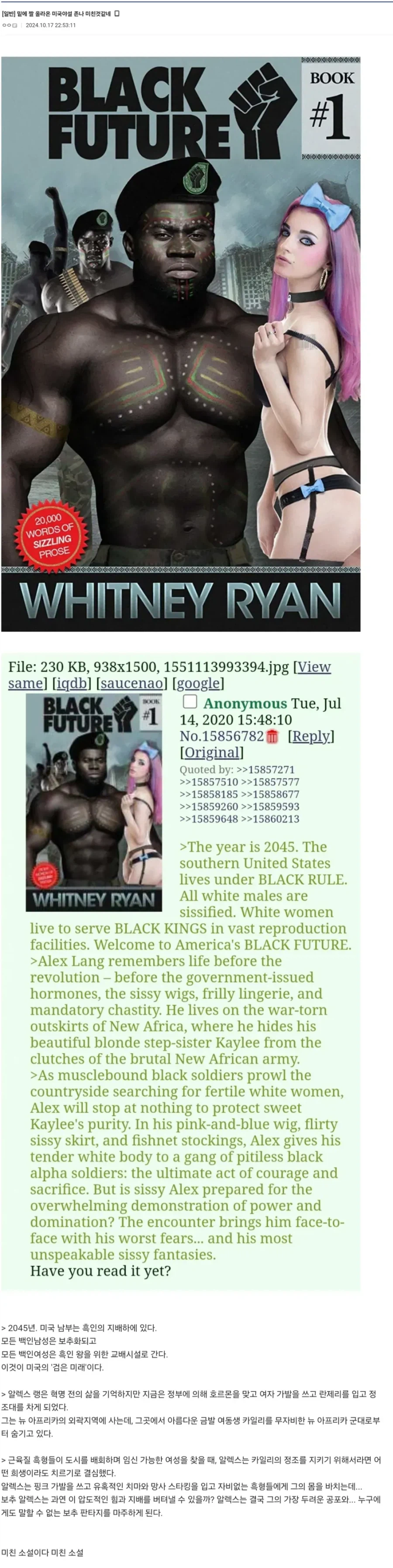 흑인들이 자신들에게 성적판타지를 가지는걸 싫어하는 이유_1.webp