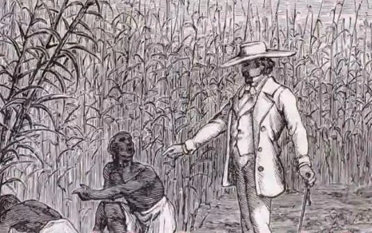 무협지 부의 상징_3.webp