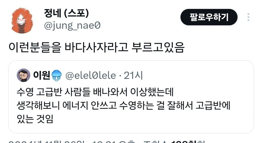 수영장에서 볼 수 있는 바다사자.jpg_1.webp