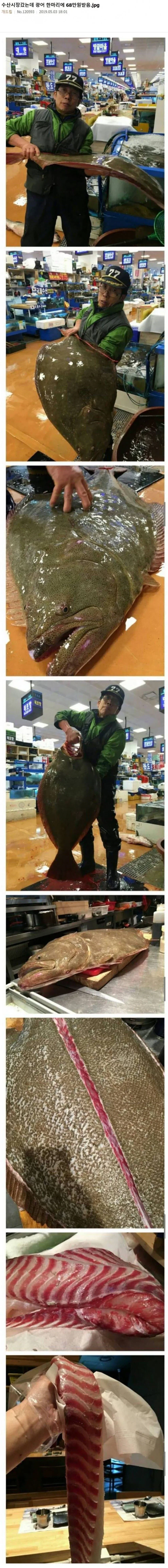 전설의 68만원짜리 광어.jpg_1.webp