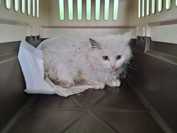 정은 주지 않을것이다_1.webp