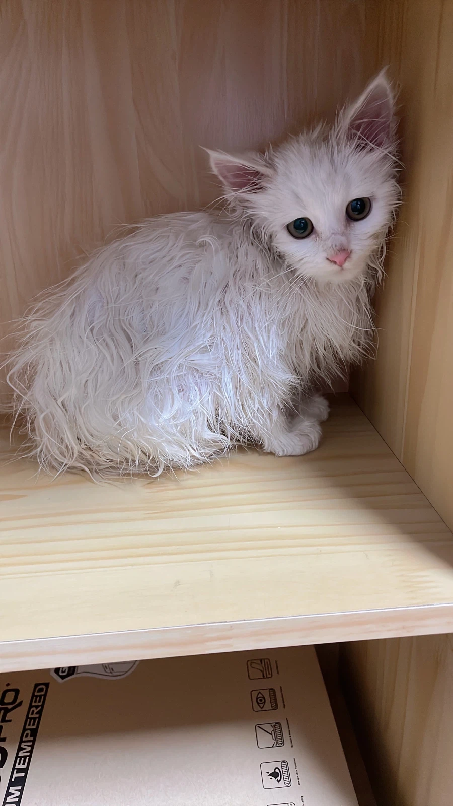 정은 주지 않을것이다_2.webp