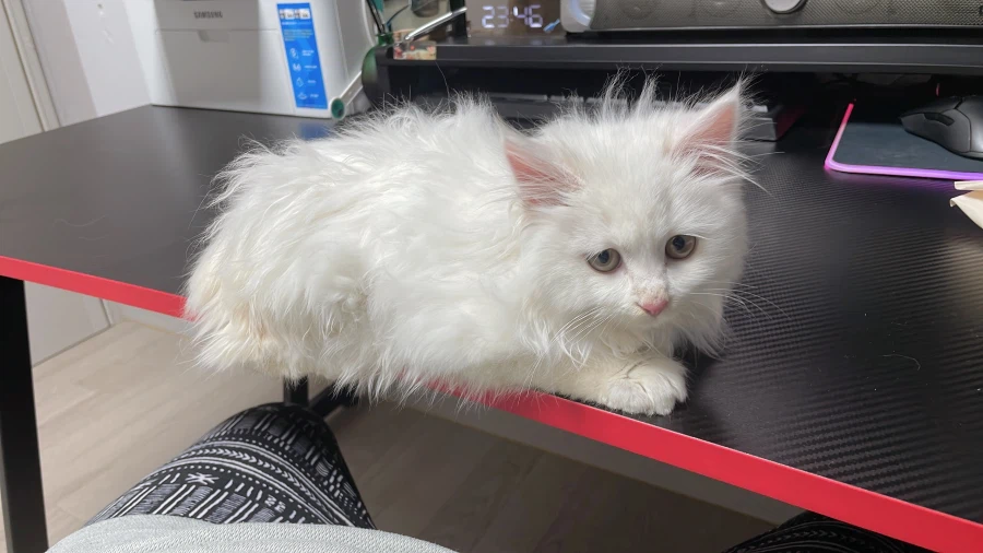 정은 주지 않을것이다_3.webp