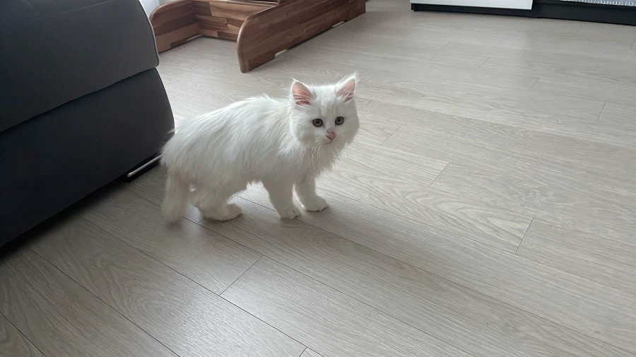 정은 주지 않을것이다_4.webp