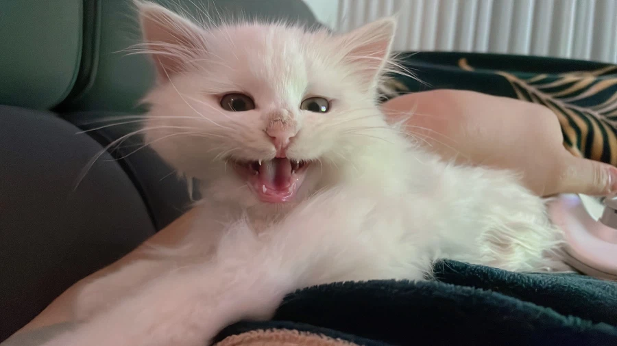 정은 주지 않을것이다_5.webp