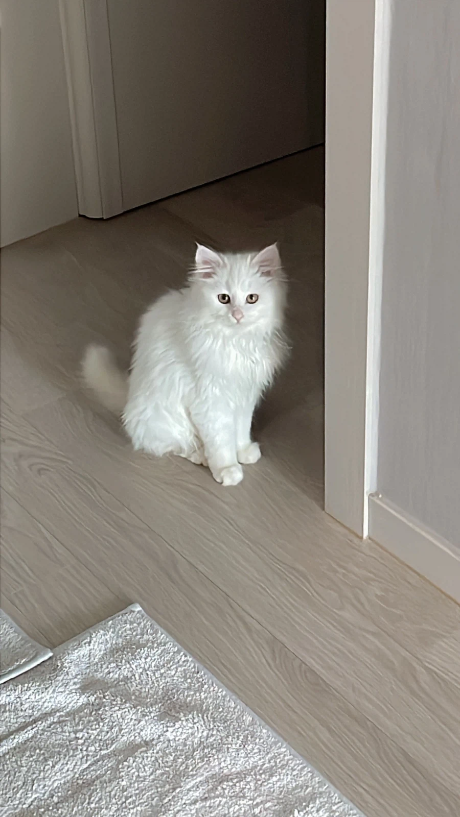 정은 주지 않을것이다_9.webp