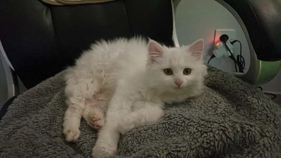 정은 주지 않을것이다_6.webp