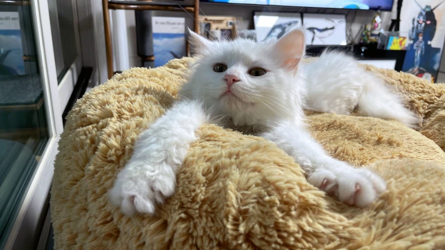 정은 주지 않을것이다_11.webp