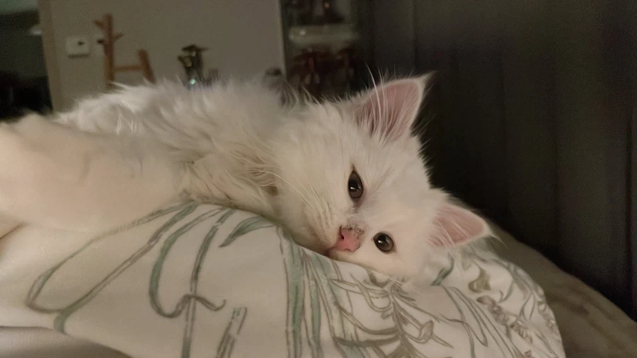 정은 주지 않을것이다_7.webp