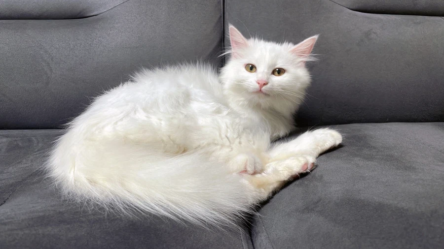 정은 주지 않을것이다_12.webp