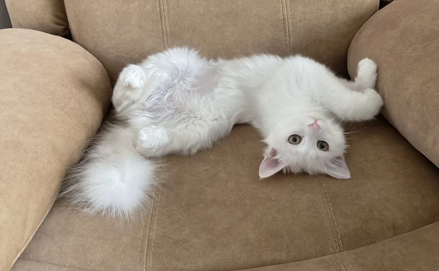 정은 주지 않을것이다_17.webp