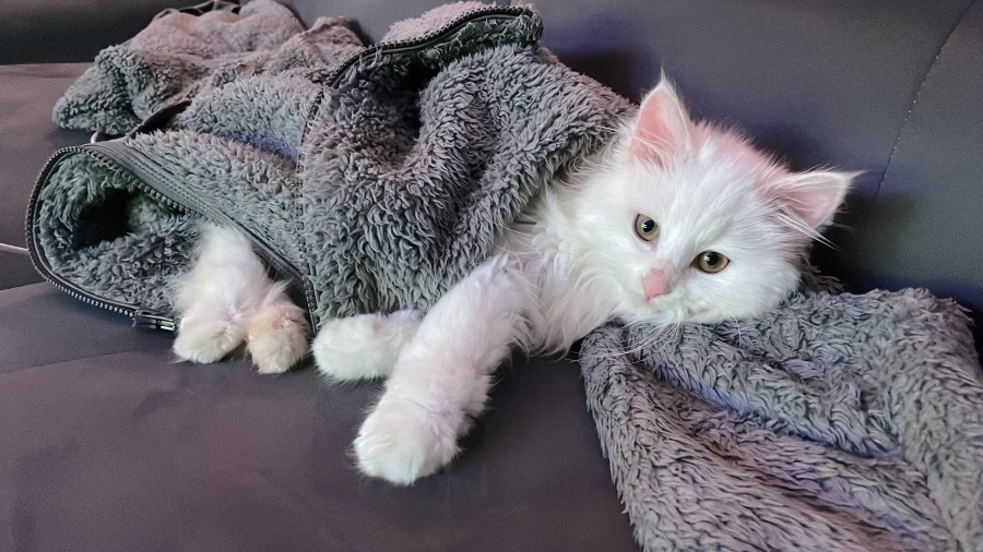 정은 주지 않을것이다_8.webp