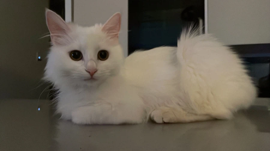 정은 주지 않을것이다_13.webp