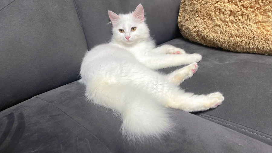 정은 주지 않을것이다_16.webp