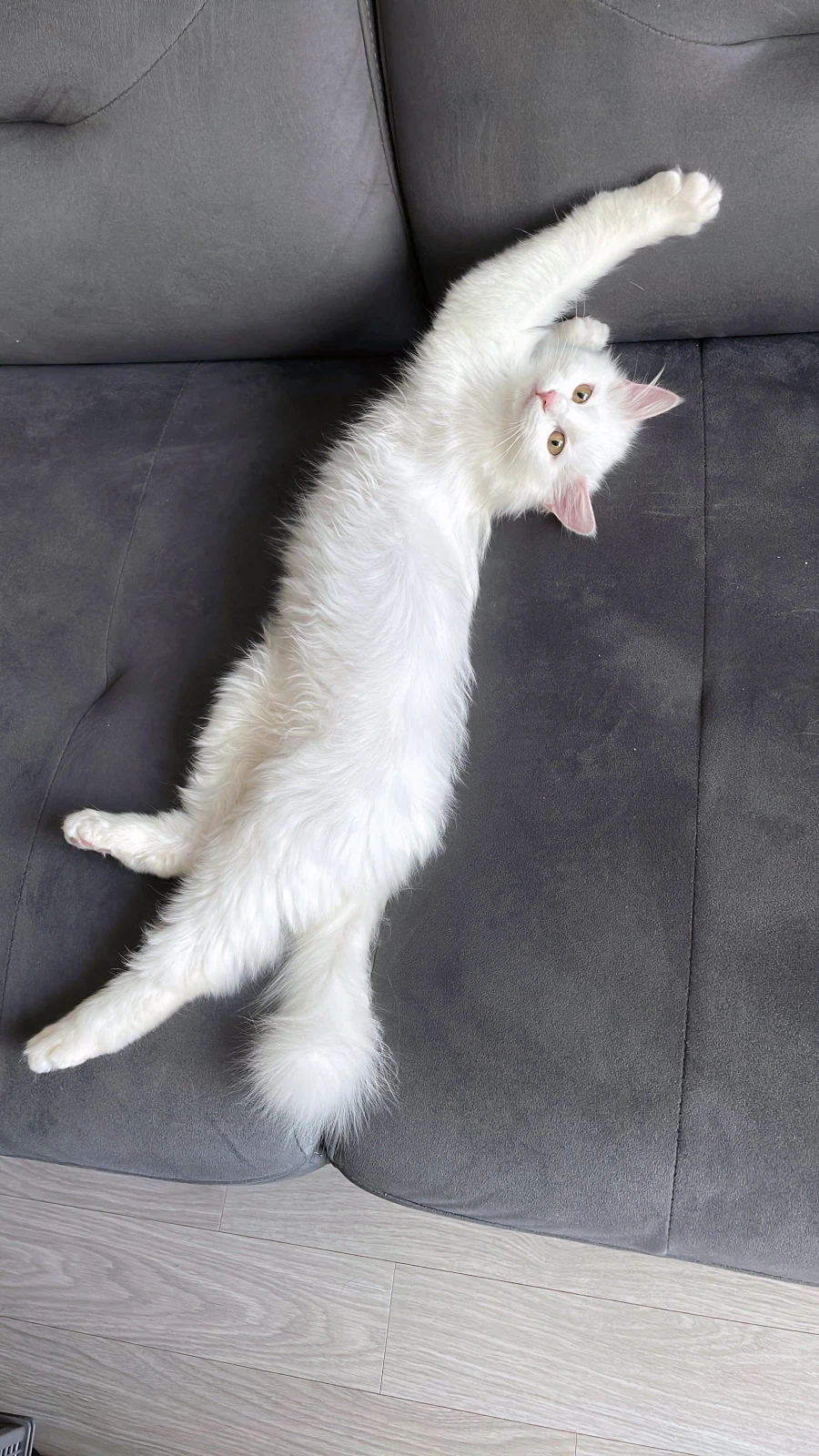 정은 주지 않을것이다_15.webp