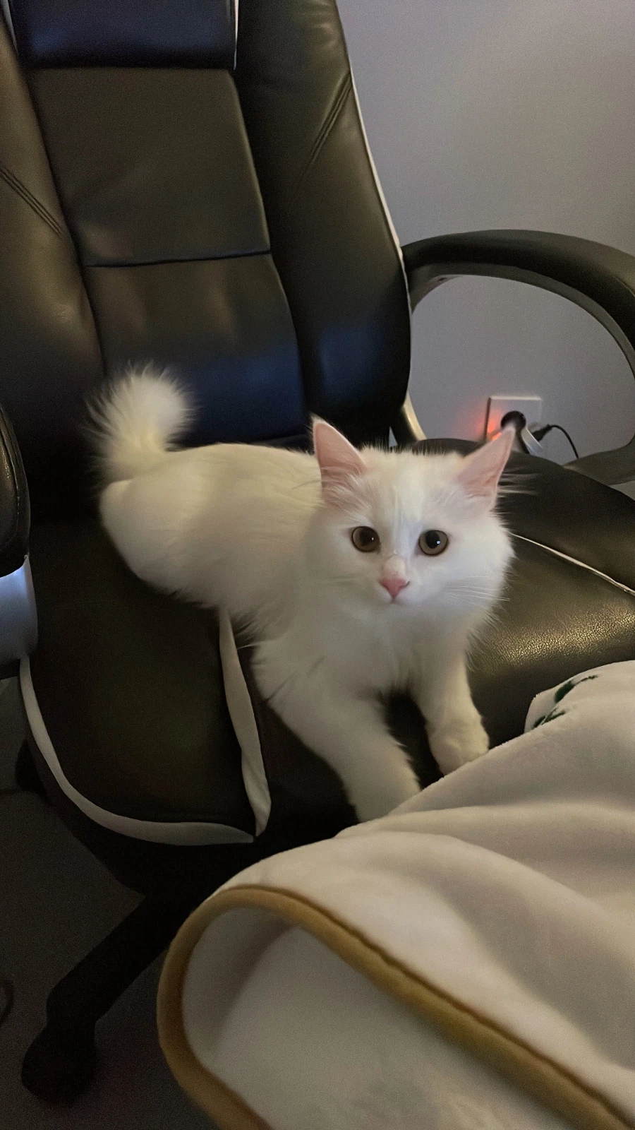 정은 주지 않을것이다_14.webp