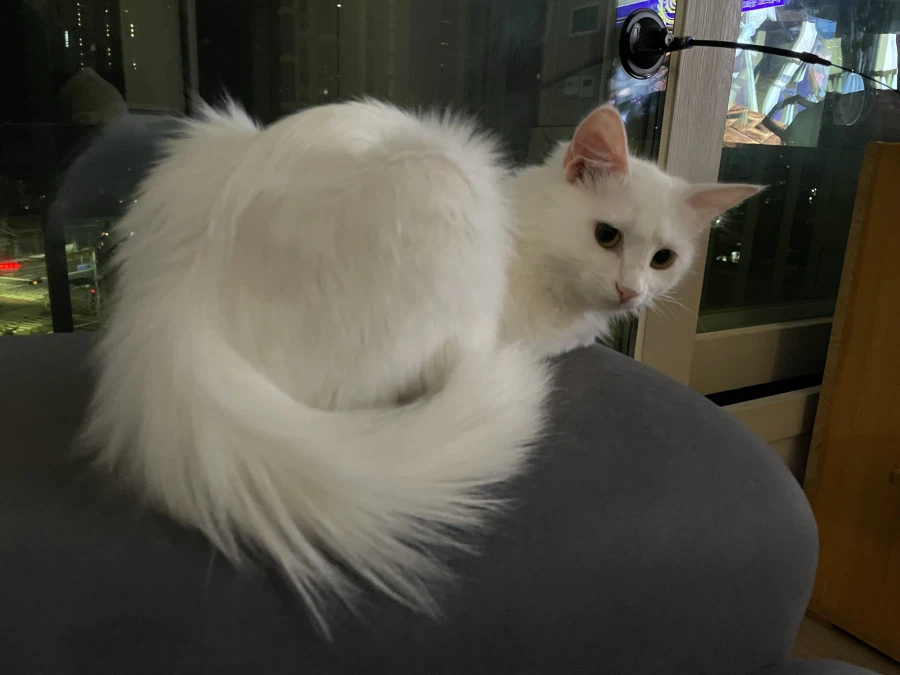 정은 주지 않을것이다_19.webp