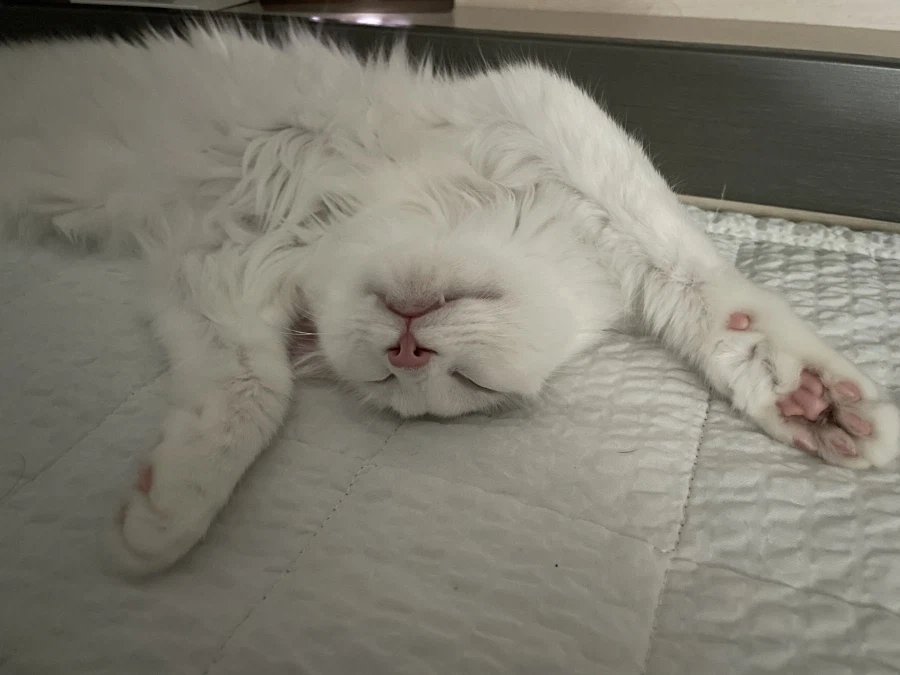 정은 주지 않을것이다_18.webp