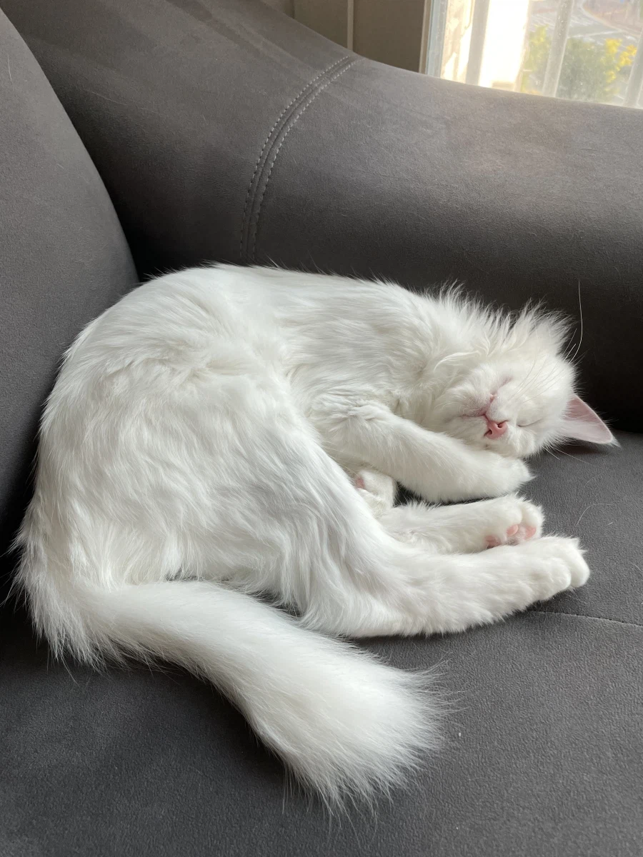 정은 주지 않을것이다_21.webp