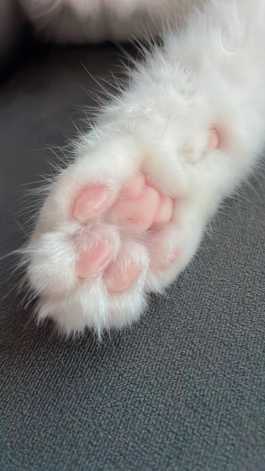 정은 주지 않을것이다_22.webp