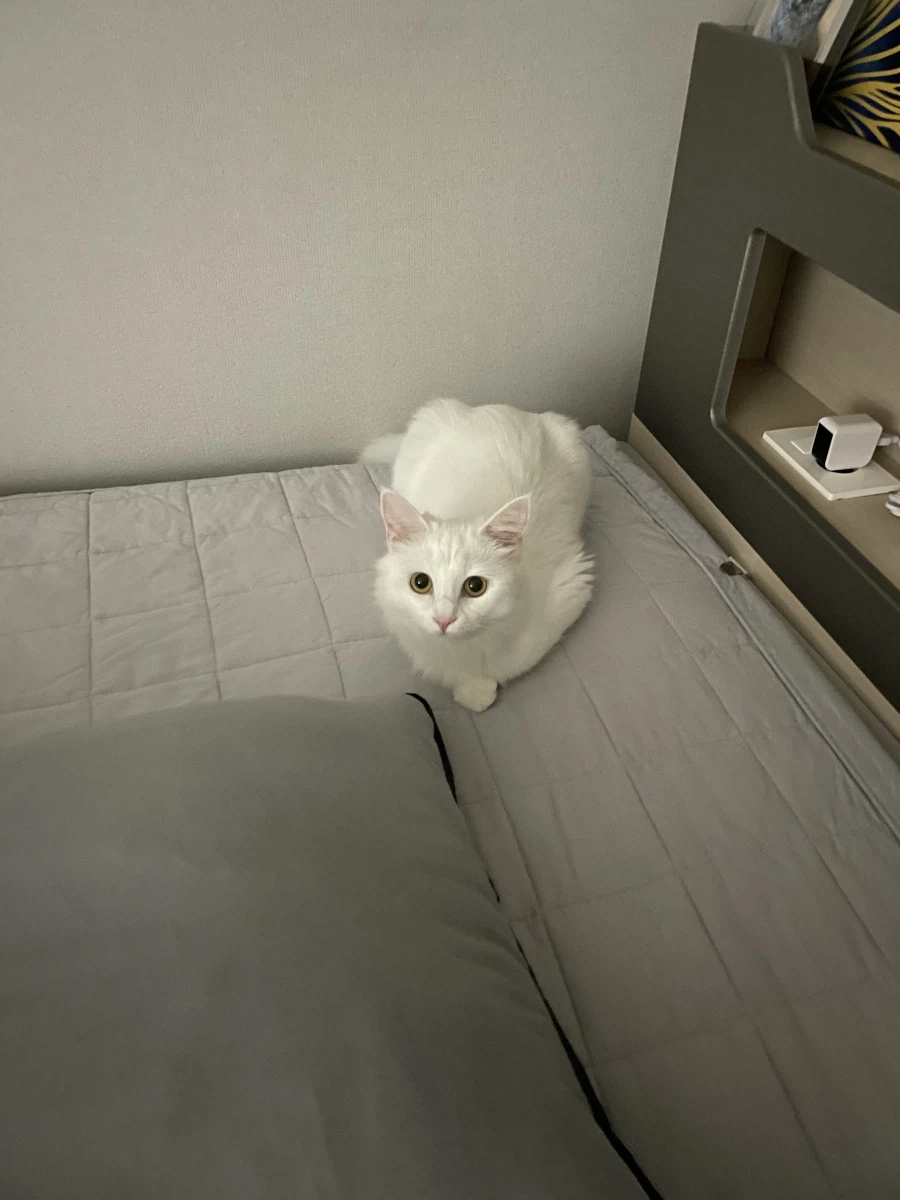 정은 주지 않을것이다_23.webp