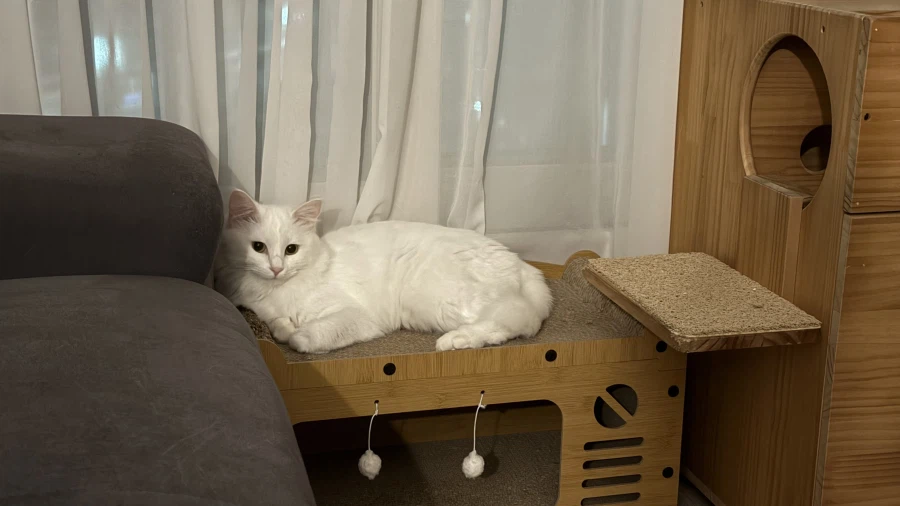 정은 주지 않을것이다_28.webp