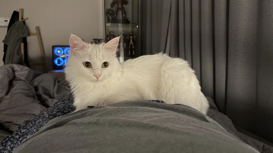 정은 주지 않을것이다_30.webp