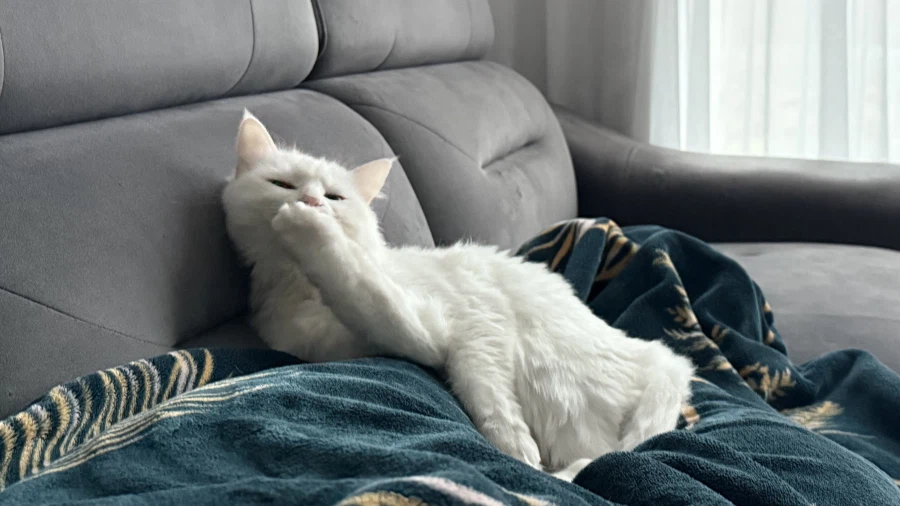 정은 주지 않을것이다_26.webp