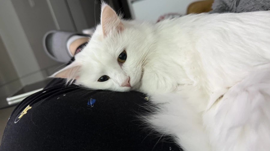 정은 주지 않을것이다_27.webp