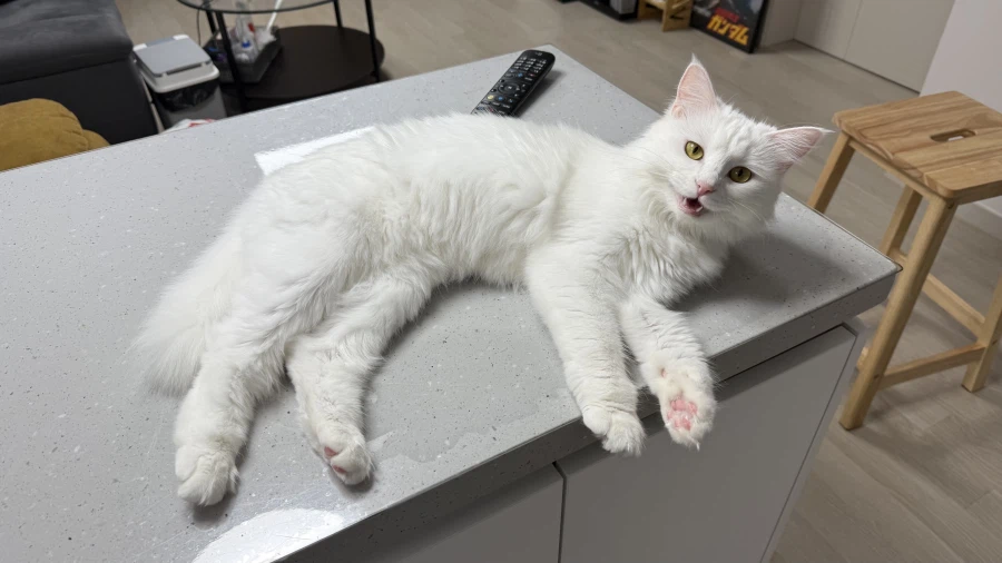 정은 주지 않을것이다_29.webp