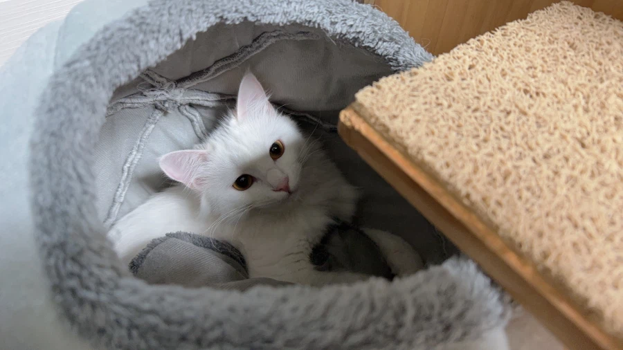 정은 주지 않을것이다_25.webp