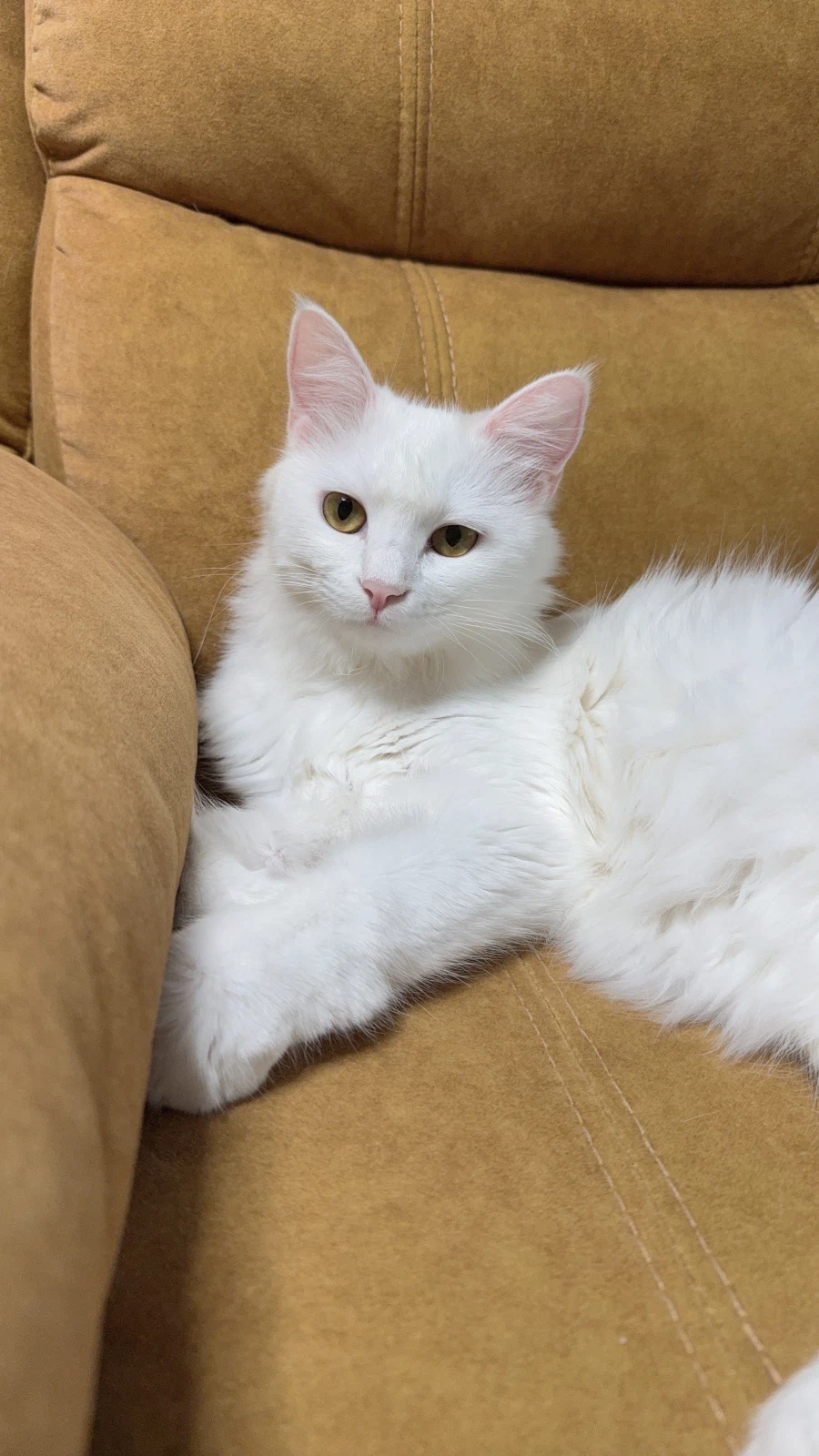 정은 주지 않을것이다_24.webp