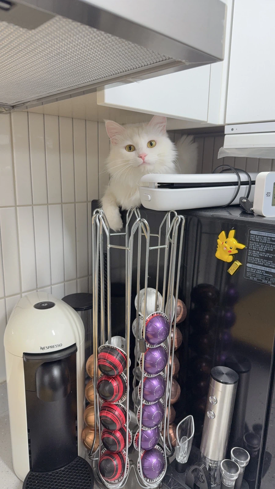 정은 주지 않을것이다_31.webp