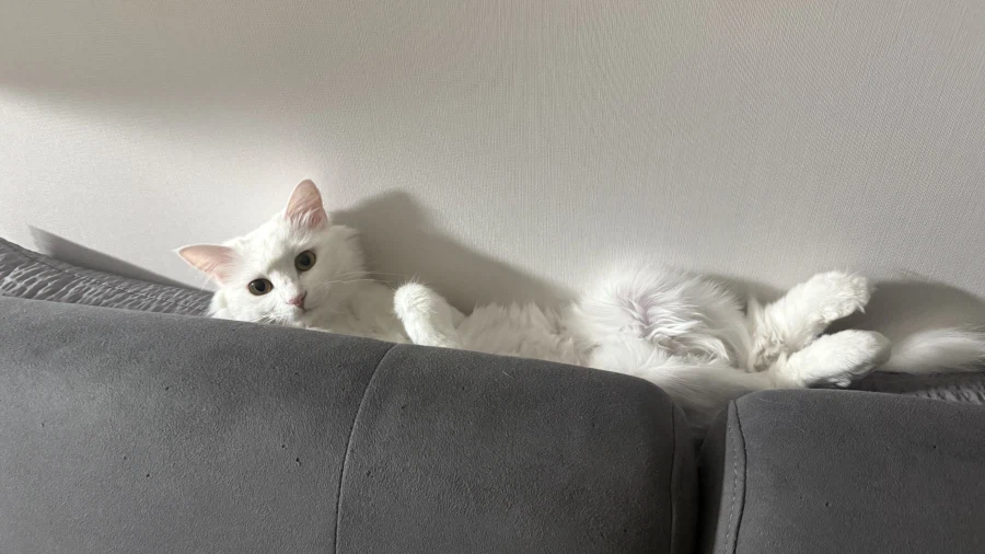 정은 주지 않을것이다_33.webp