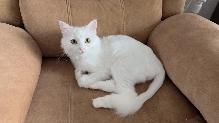 정은 주지 않을것이다_36.webp