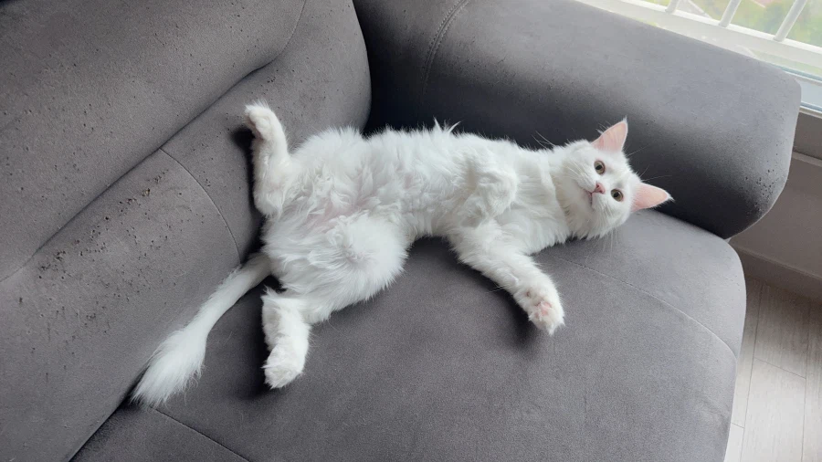 정은 주지 않을것이다_35.webp