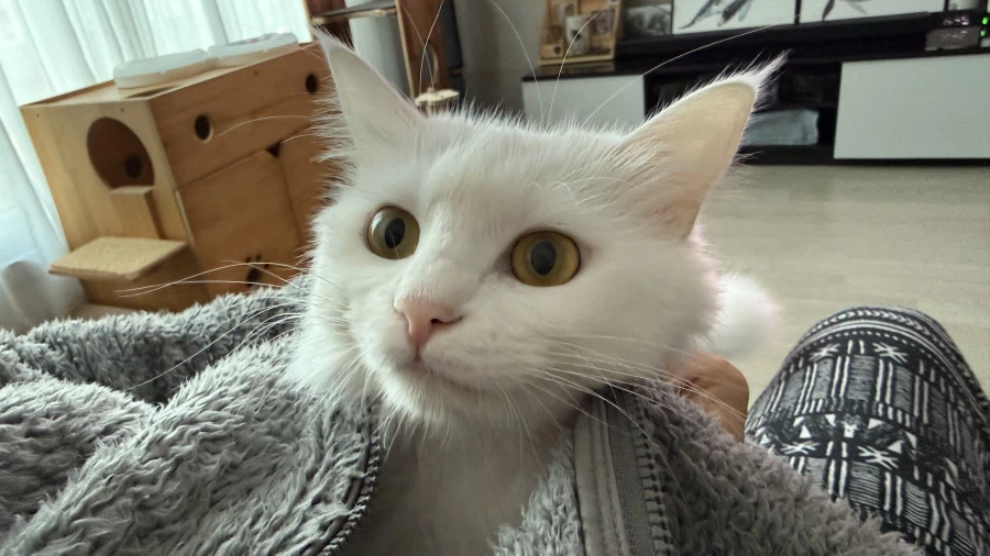 정은 주지 않을것이다_39.webp