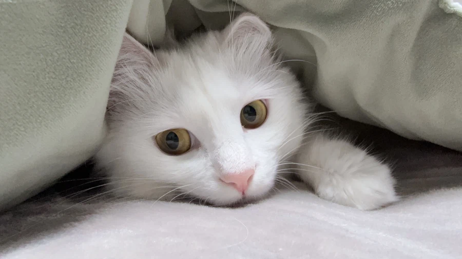 정은 주지 않을것이다_42.webp