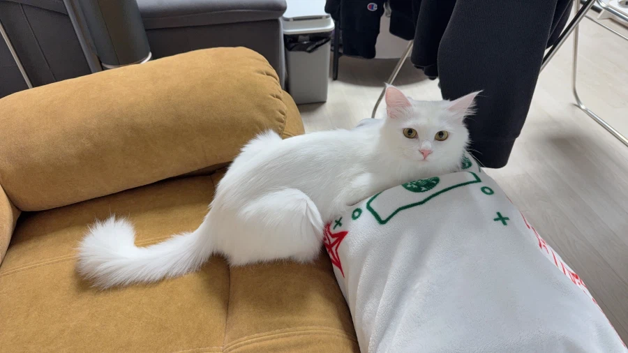 정은 주지 않을것이다_41.webp