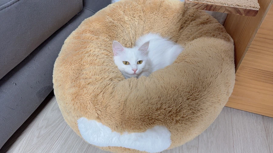 정은 주지 않을것이다_43.webp