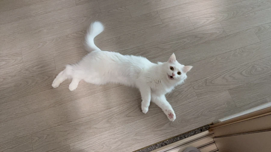 정은 주지 않을것이다_46.webp