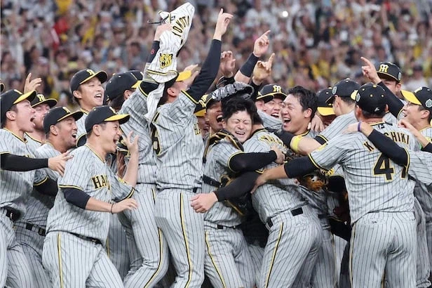 이 여자는 진짜로 어떻게든 해줍니다._13.webp