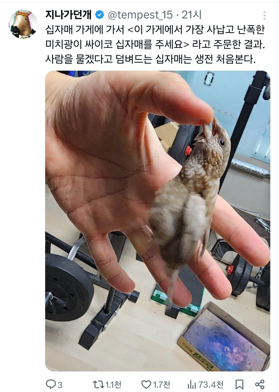 새가게에서 제일 사나운 새를 주문했다.jpg_1.webp