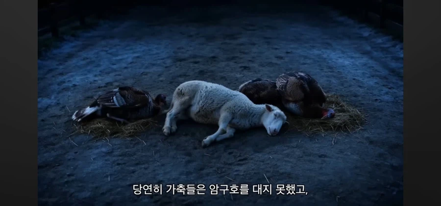 꼼짝마!! 영국의 첩자 치킨들아!!!_11.webp