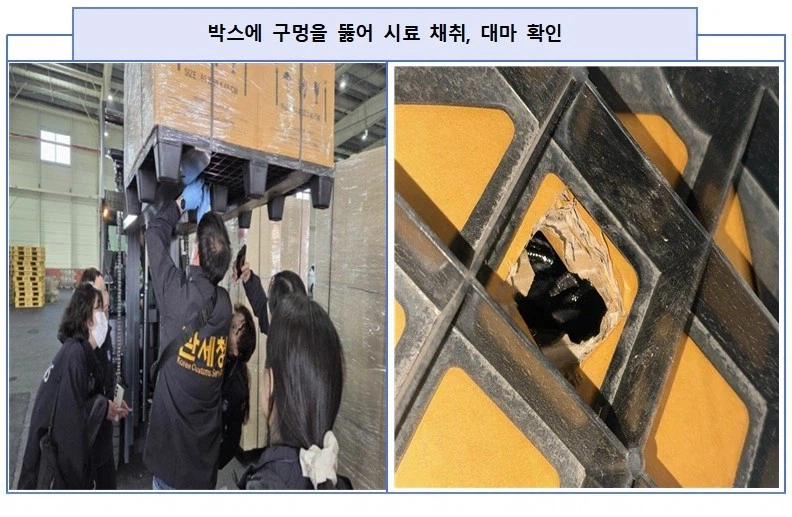 50대 일본 야쿠자 조직원, 한국에 역대 최대규모 대1마 밀수_2.webp