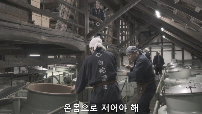 역사적으로 끊임없이 일어났던 싸움_2.webp